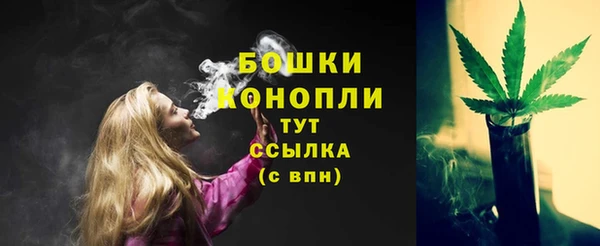 PSILOCYBIN Сатка