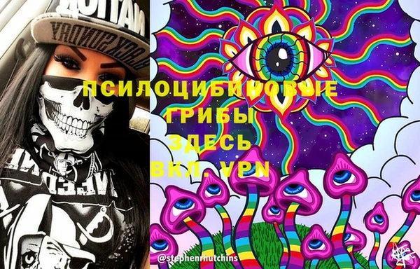 PSILOCYBIN Сатка